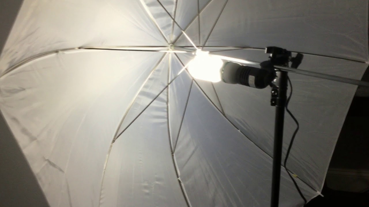 LimoStudio Photography Studio Video Photo best green screen for less or so