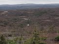 All Day Moose Hunt In The Back Country,NL