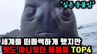 세계를 떠들썩 하게 만들었던 뭣도 아닌 동물들