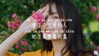 【不该犯的蠢-含大仙儿】BU GAI FAN DE CHUN-HAN DA XIAN ER /TIKTOK,抖音,틱톡/Pinyin Lyrics, 拼音歌词, 병음가사/No AD,无广告,광고없음