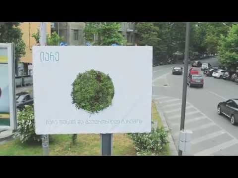 იარე ფეხით - \"მწვანე კედელი\"