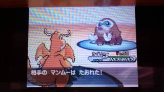 Vs雨パ ポケモンbw2 カイリューのしんそくはつよい Youtube
