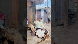 गरब बचच क बकर ईद