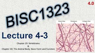 BISC1323 - Recorded Lecture 4-3 (4.0)
