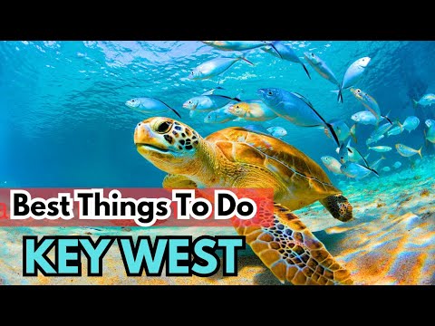 Video: Top 8 plaža u Key Westu