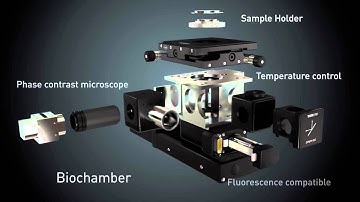CSEM Bioindenter   for a better understanding of our body