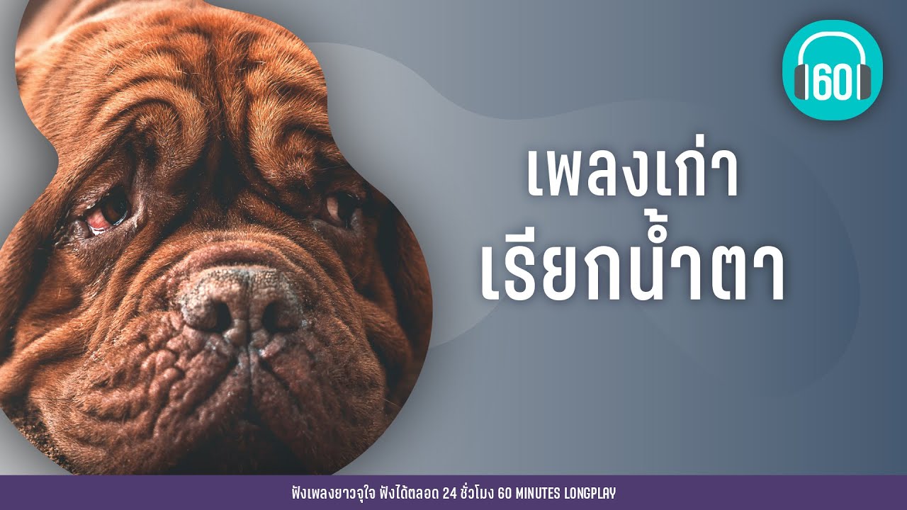 เพลงเก่า เรียกน้ำตา [คนไม่มีวาสนา,เพลงนั้น,เหมือนเป็นคนอื่น] l เบิร์ด ธงไชย,ไมโครl【LONGPLAY】