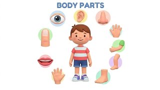 Parts of the Body for Kids | Learn Body Parts in English | Educational Video#education #bodyparts 
