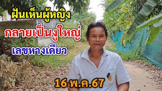 พี่ปุ่น ฝันผู้หญิง กลายเป็นงูใหญ่ เลขหางเดียว 16 พ.ค.67