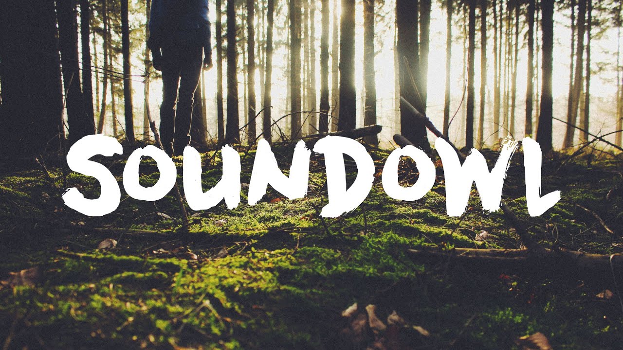 Froogle - Tunnel Vision (ft. Josh Rubin)