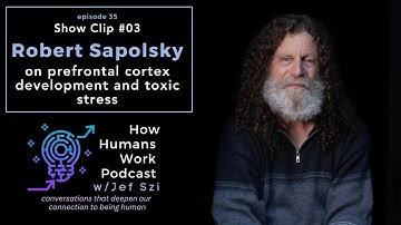 Robert Sapolsky: On Prefrontal Cortex Development and Toxic Stress