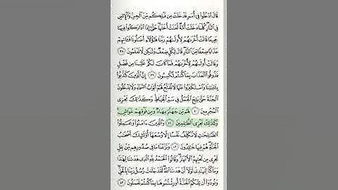 سورة الأعراف - من الآية 31 حتى الآية 46