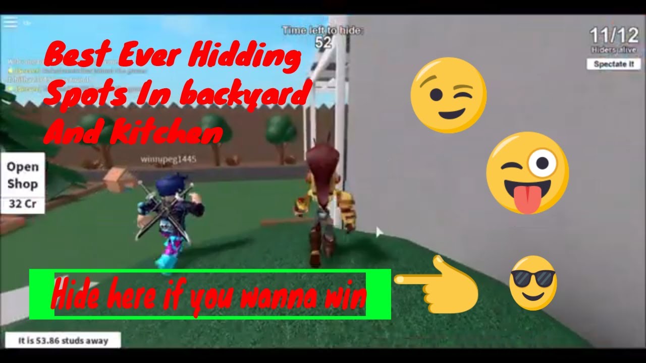 Best Hiding Spots In Hide And Seek Extreme Roblox Backyard And