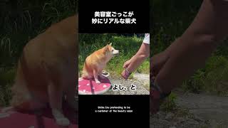 青空美容室 Momo’s Open-Air Salon