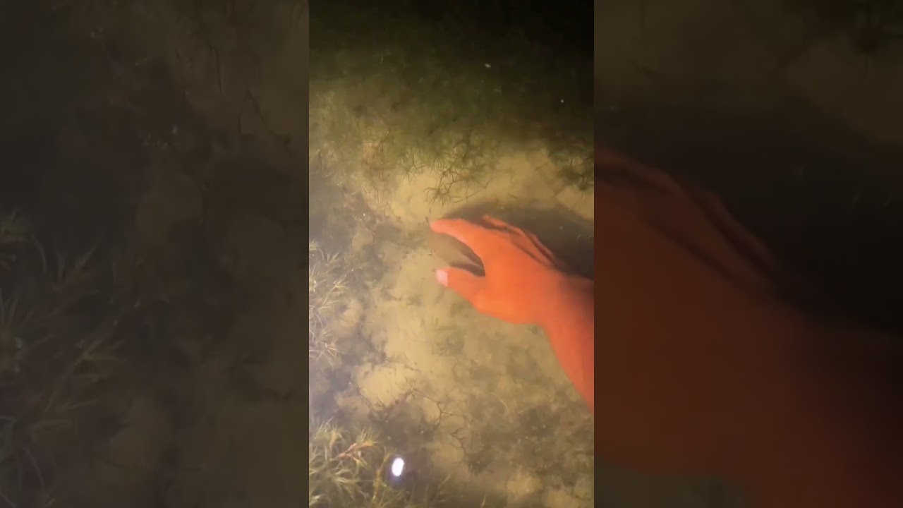 Night Fishing in a Shallow Swamp – Patience Pays Off 