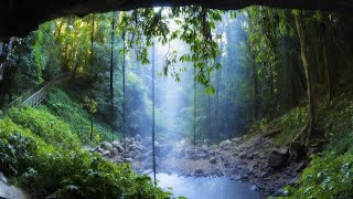Rain Forest Meditation | Green & Blue | Theta 5 hz in G