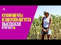 Кухни мечты и закуски августа | «Высоцкая отвечает» №72 (18+)