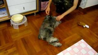 MVI_3729.AVI