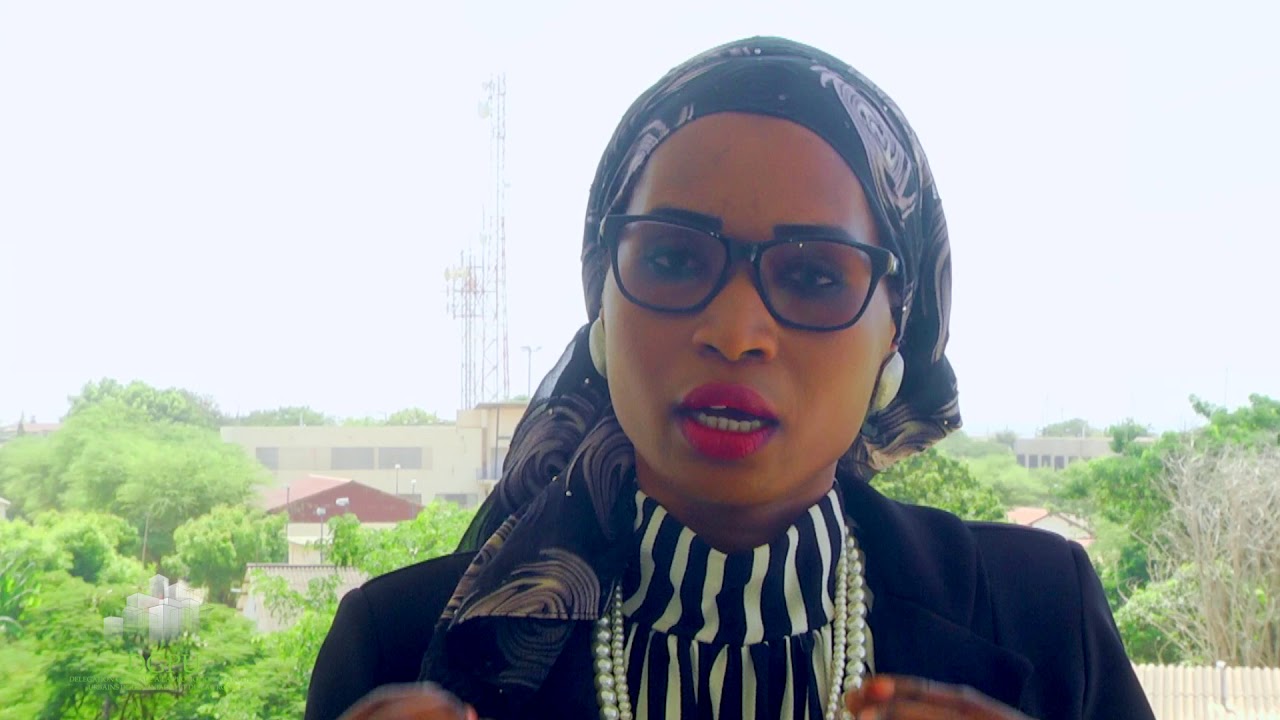 Présentation du Pôle urbain de Diamniadio