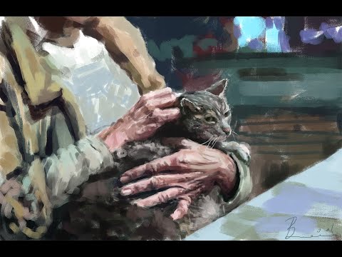Person petting the cat