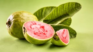 🌿Discover the Hidden Secrets of the Guava Leaf! Amazing Health Benefits 🍃🔍