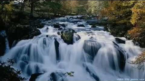 قرآن كريم إن الذين قالوا ربنا الله ثم استقاموا تلاوة هادئة حالات واتساب