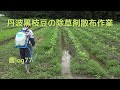 丹波黒枝豆の除草剤散布作業 農log77