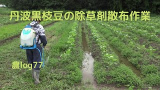 丹波黒枝豆の除草剤散布作業 農log77