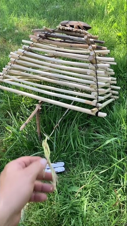 Arapuca Bird Trap
