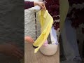Transparent Try On Haul 4k