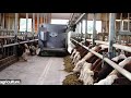 Beef Farm Robots BovINE - Germany. Video from Frank Zerbe