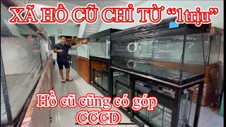 XÃ HỒ CÁ CŨ CHỈ TỪ 1”trịu” - HỒ ỐP TỦ GÕ ĐỎ - VẪN CÓ GÓP CCCD - CÁ CẢNH RỒNG VIỆT NAM AROWANA