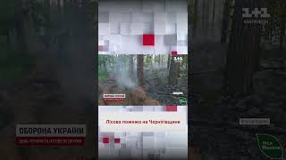 🔥 Лісова пожежа на Чернігівщині: через постійні обстріли росіян загорівся ліс