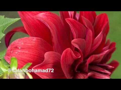 دعاء جميل اللهم اغفر لنا