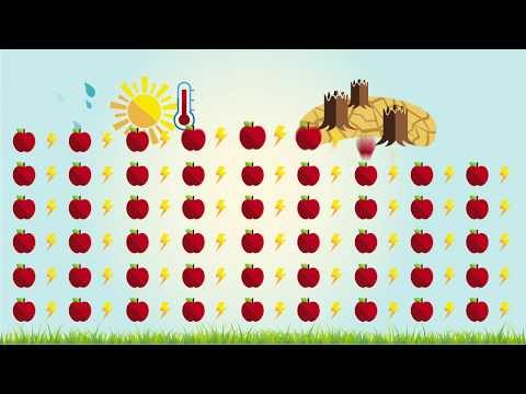 Bioeconomy Knowledge Centre