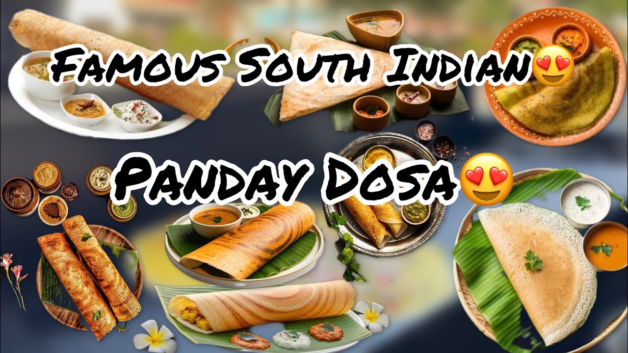 Day 24 Vlog || Best Masala Dosa In Ludhiana || South Indian Dosa in Ludhiana || Famous Street Food 