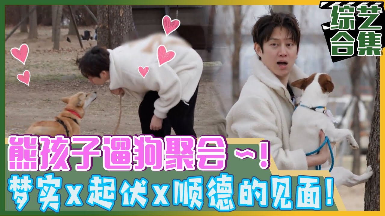 [我家的熊孩子] (中字)金希澈是狗狗专家?! 🐶只要到希澈面前就会变听话的林元熙的爱犬顺德~!
