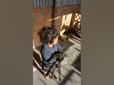 cute Viaan #short#viral#youtubeshort - YouTube