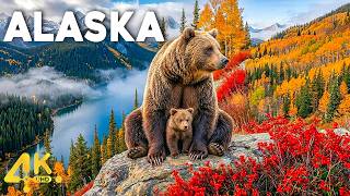 ALASKA in 4K - Incredible Scenes & Uncovering Hidden Gems|2026
