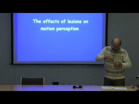 MIT: Lec 12: Motion perception and pursuit eye movements
