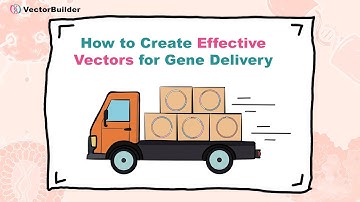 How to Create Effective Vectors for Gene Delivery