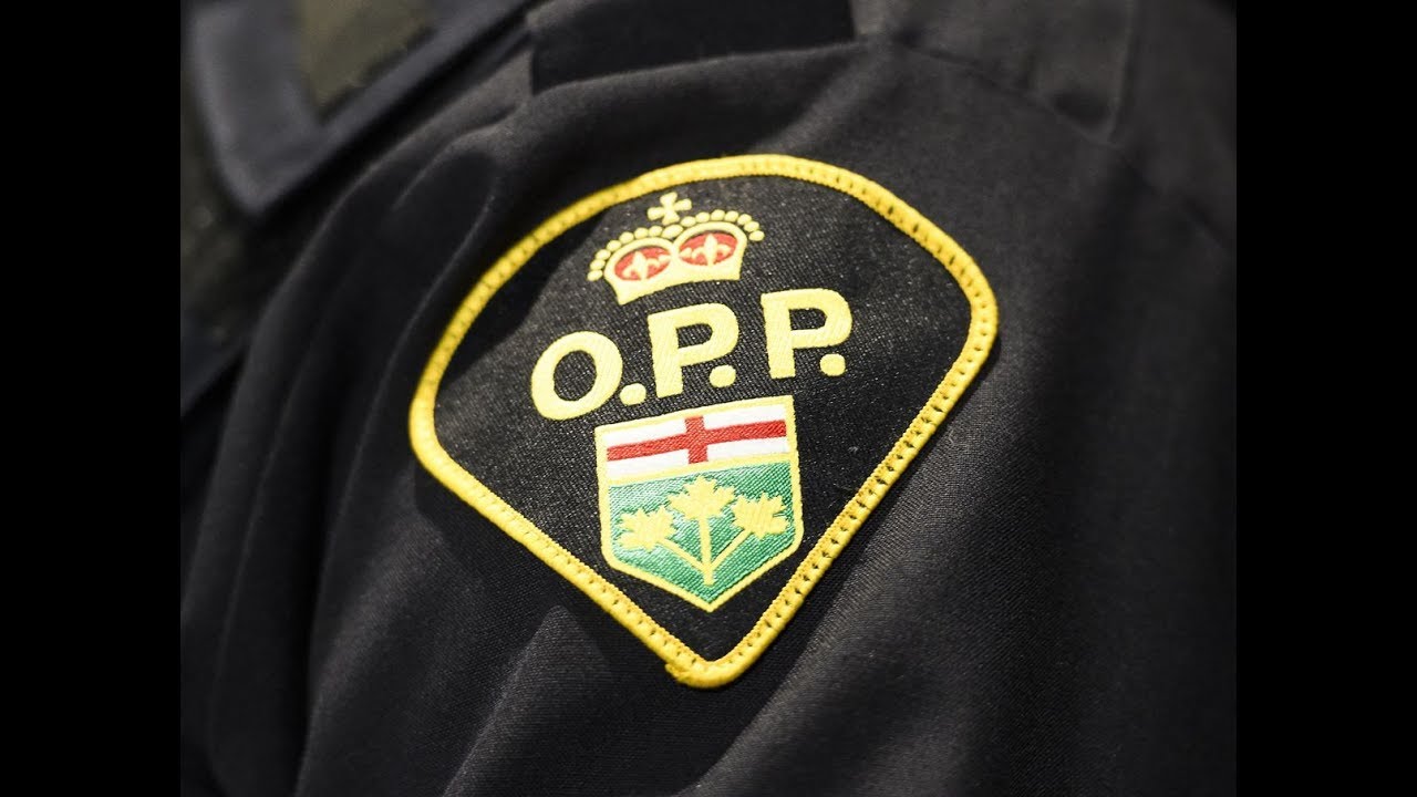 ✅  Wasaga Beach temporarily closed to non-residents after hundreds attend car rally despite COVID-19