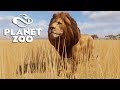 Novo Planet Zoo - MUNDO ABERTO na SAVANA #02 - ATAQUE de LEÕES