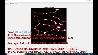 Dorsal Vein recognition - Hand Vein – CNN -PCA - Biometric- Hand vein classification -CNN - MATLAB