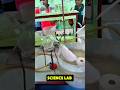 "Attending first Time Chemistry Lab in Collge "#minivlog #shortsfeed #shorts