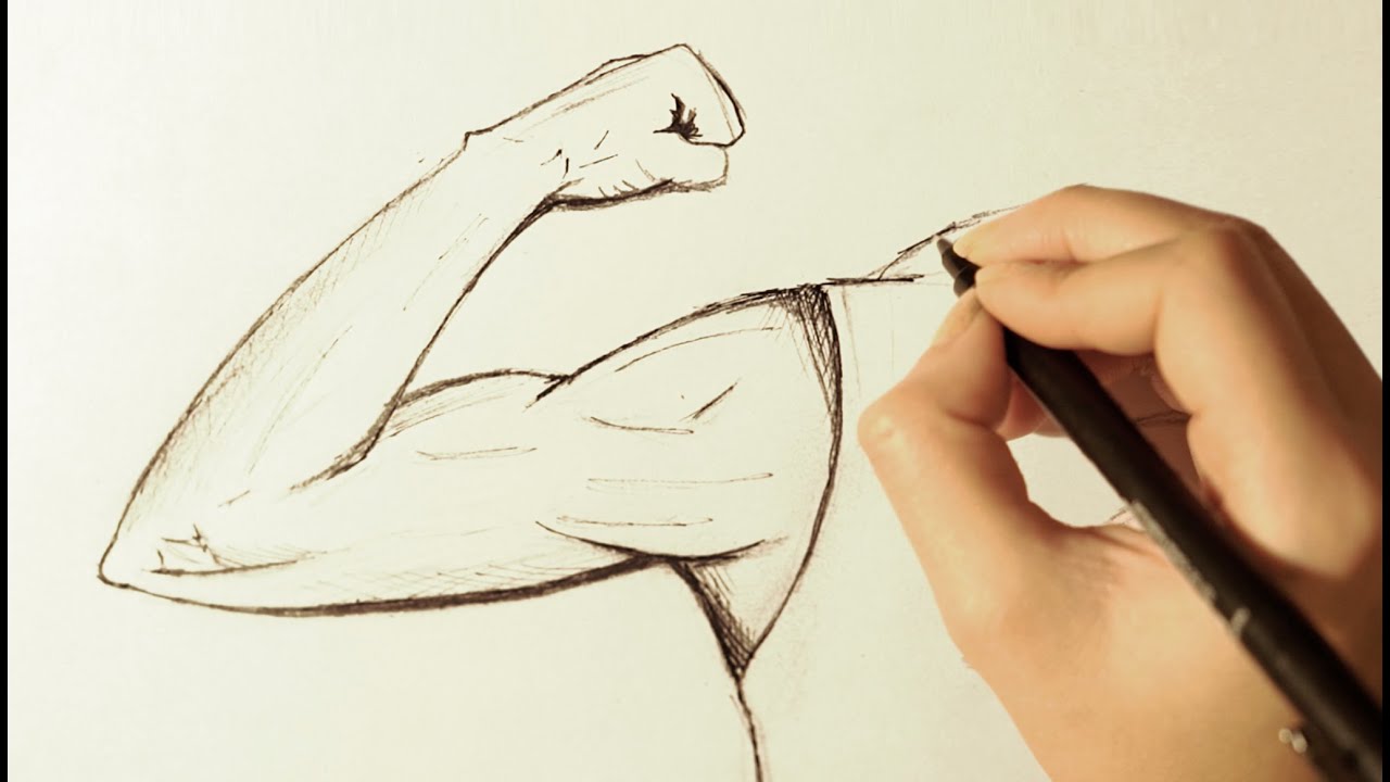 Featured image of post Sketch Bicep Drawing You will apply the sketch drawing effect to your picture in the next step just after sending your file