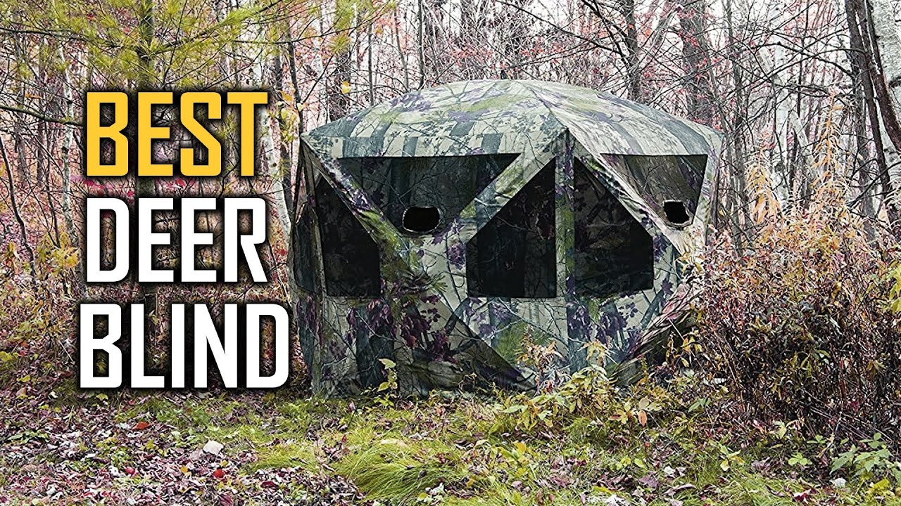 Top 3 Best Deer Blinds [Review] - Big Cat Pop up Portable Hunting Blind ...