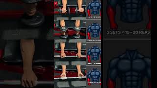 Full Forearms Workout (High Reps)