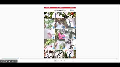 Making a contact sheet on iphone