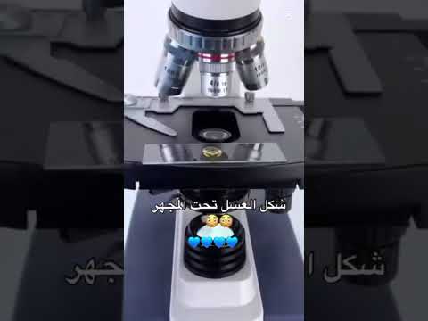 الي عجبو يعمل اشتراك و لي لأ يعمل لايك